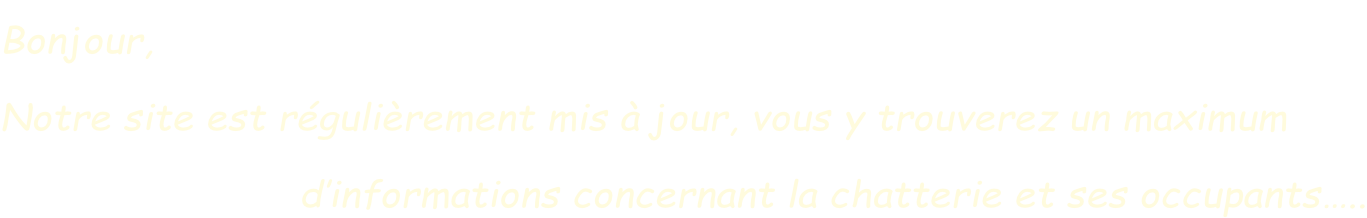 Bonjour, Notre site est régulièrement mis à jour, vous y trouverez un maximum                          d’informations concernant la chatterie et ses occupants…..